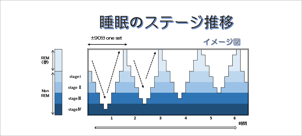 レム睡眠とノンレム睡眠