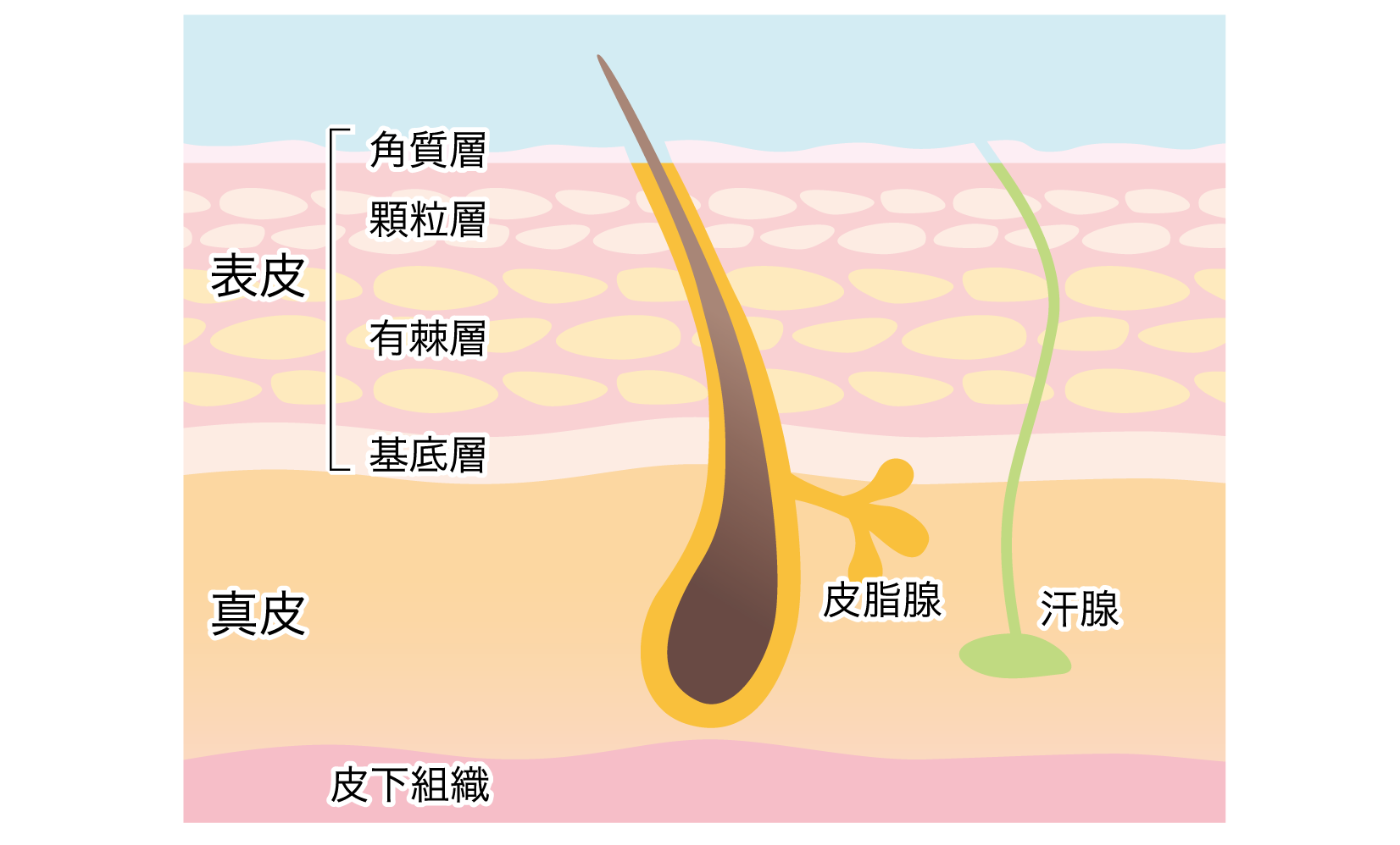 冬場の湿度不足には要注意！ 頭皮の乾燥は抜け毛や薄毛を招く？｜東京AGAクリニック